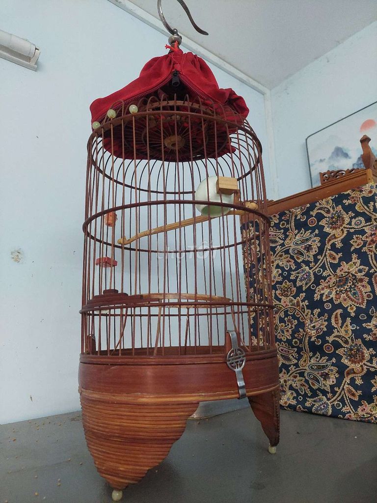 Lồng chim khuyên mũi dừa xưa đeph. Mua bán Phụ kiện, Thức ăn, Dịch vụ tại Quận 6 Tp Hồ Chí Minh được đăng bởi HEO QUAY DA DÍNH NẠC hình 1