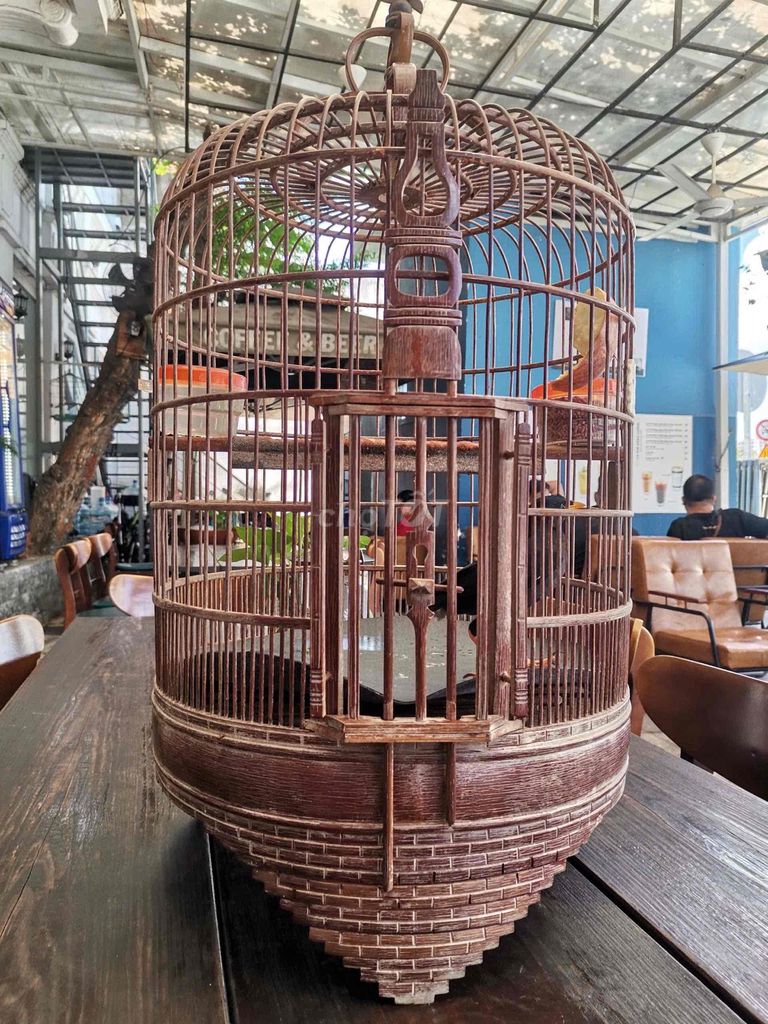 Lồng chim và Chim sáo. Mua bán Chim tại Quận 5 Tp Hồ Chí Minh được đăng bởi Ha Anh Dang hình 1
