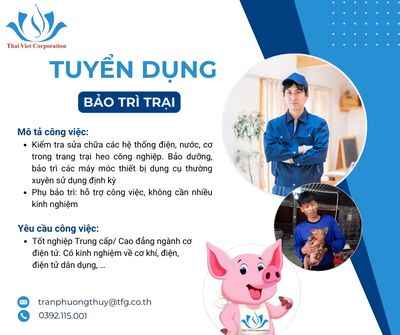 THÁI VIỆT CORPORATION