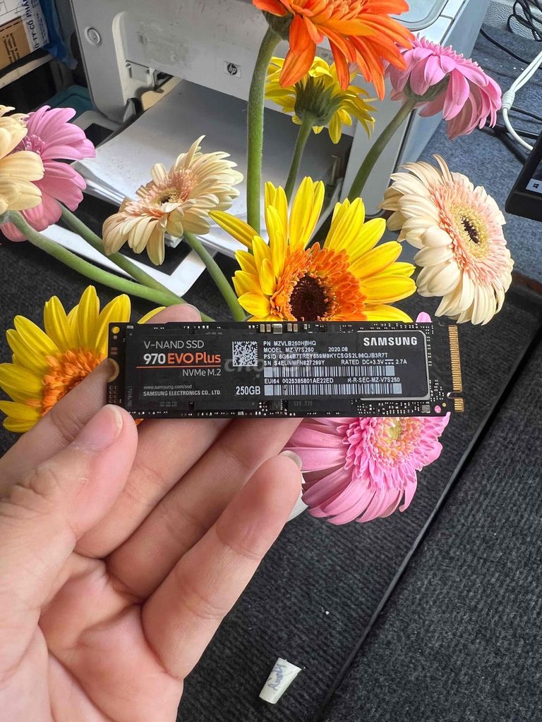 Ổ cứng SSD Samsung 970 EVO Plus 250GB giá 950k. Mua bán Linh kiện (RAM, Card...) tại Quận Phú Nhuận Tp Hồ Chí Minh được đăng bởi tiến tài 770 nguyễn kiệm p4 quận phú nhuận hình 1
