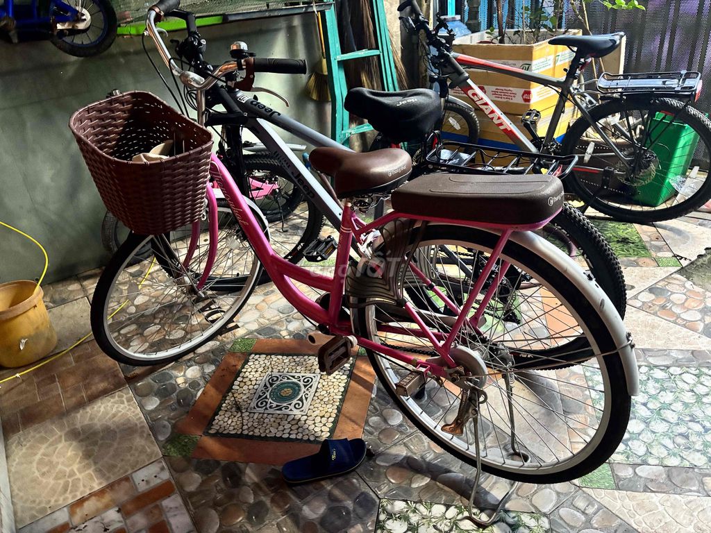 Thanh Ly Xe Dư Không Dùng Tới. Mua bán Xe đạp tại Thành phố Biên Hòa Đồng Nai được đăng bởi Dương Ngọc Tú hình 3