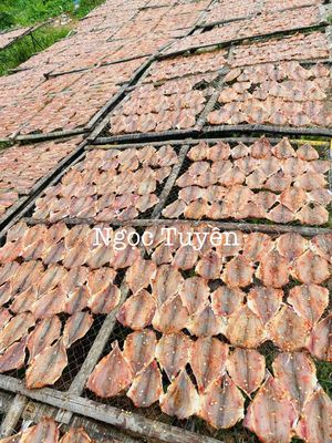Khô cá đù lưới Bình Châu. Mua bán Đồ ăn, thực phẩm và các loại khác tại Thành phố Thủ Đức Tp Hồ Chí Minh được đăng bởi NGỌC TUYỀN
