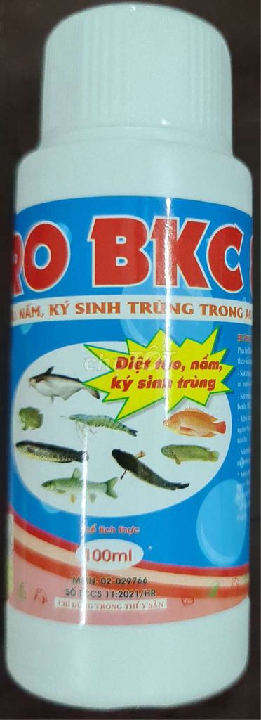 Can Tuyen NV Kế Toán Kho \u0026 Bán Hàng.