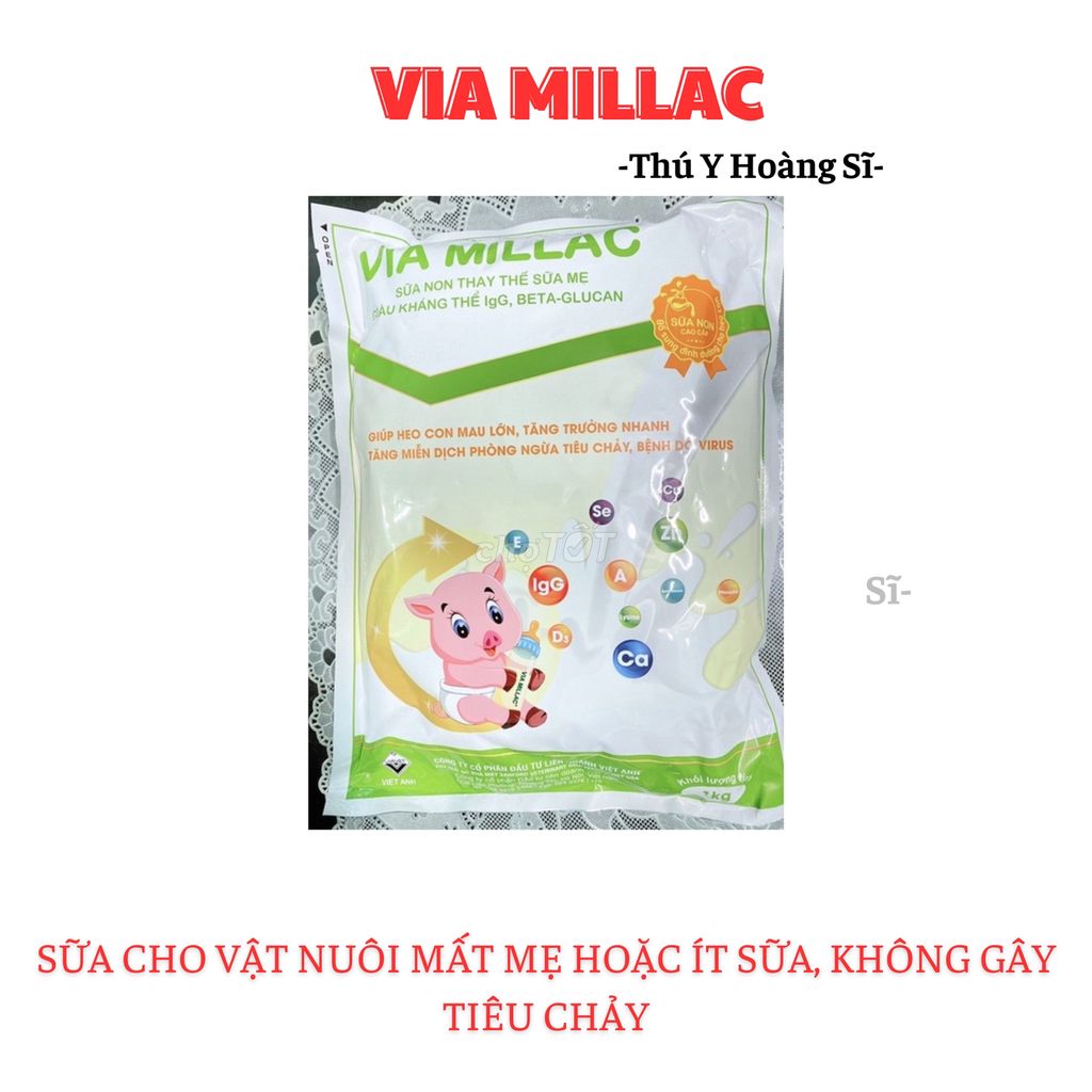 Via Millac sữa cho vật nuôi, không gây tiêu chảy