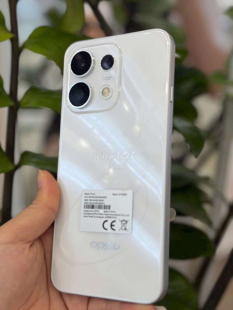 Oppo Reno16F 8GB 256GB Trắng. Mua bán Điện thoại tại Quận Sơn Trà Đà Nẵng được đăng bởi Hà hình 1