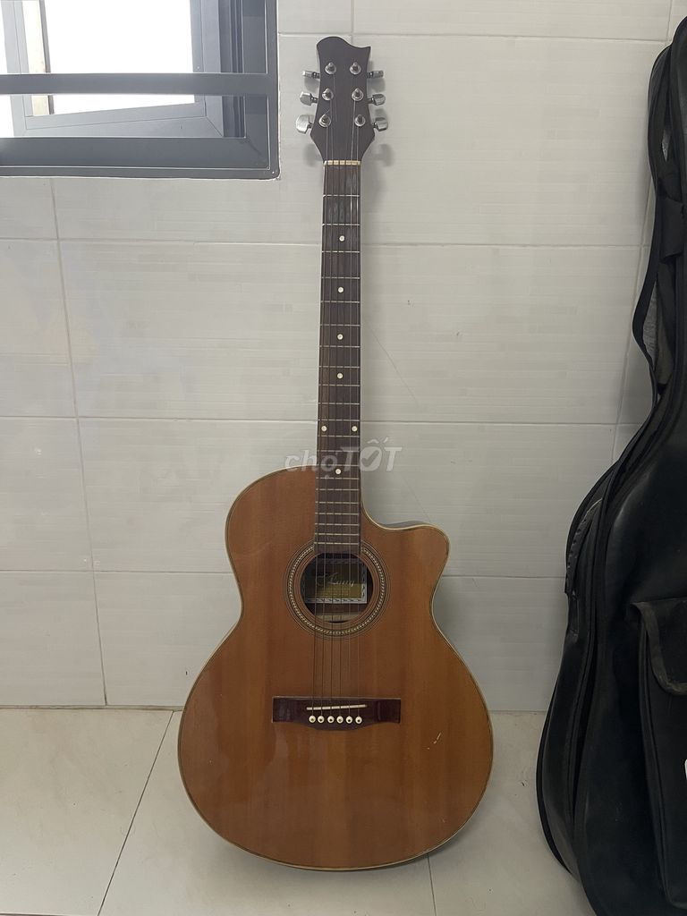 Guitar 500k