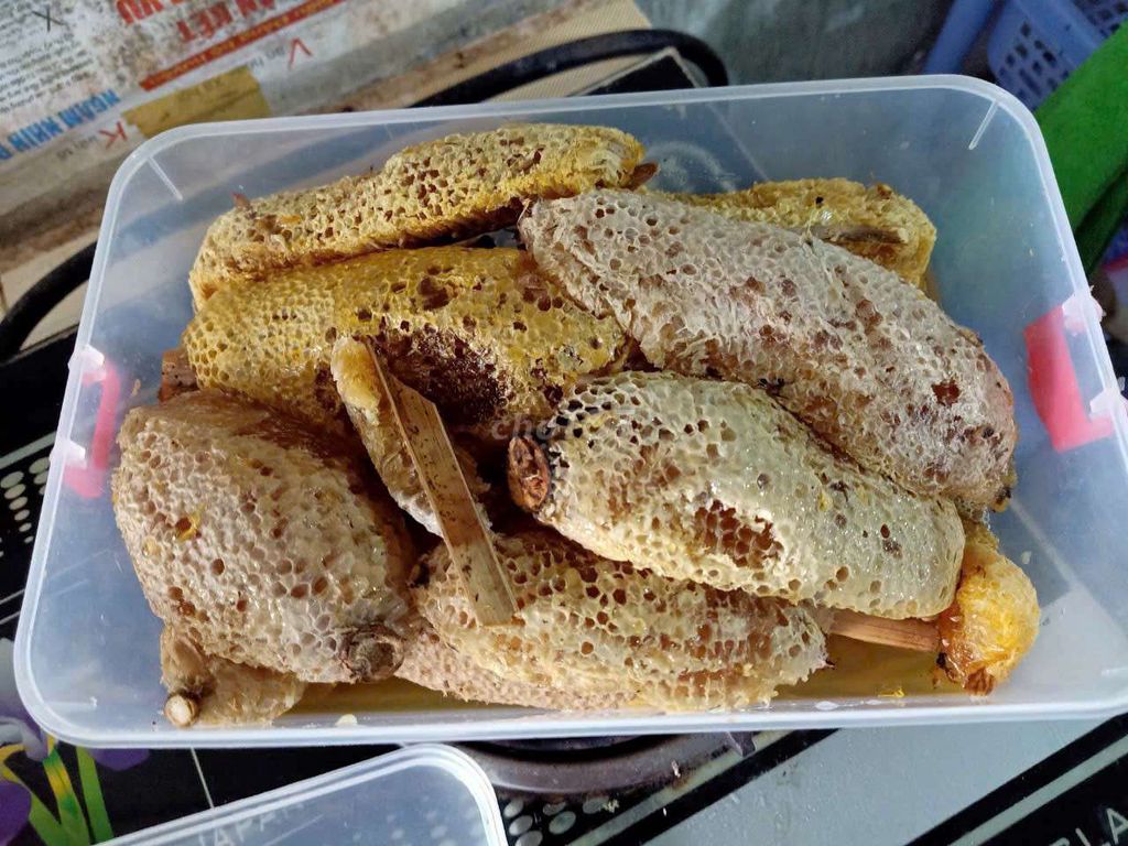 mật ong ruồi nguyên chất. Mua bán Đồ ăn, thực phẩm và các loại khác tại Thành phố Cà Mau Cà Mau được đăng bởi Hồng Nhi hình 5