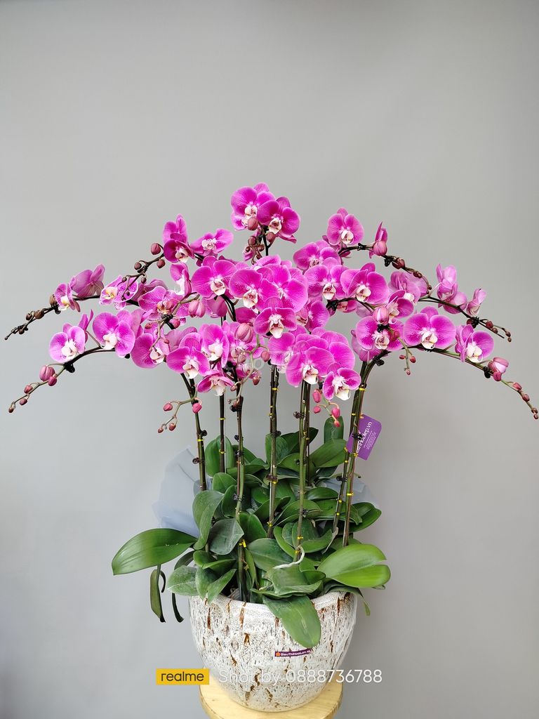 /viec-lam-quan-cau-giay-ha-noi/124560162.htm#px=SR-special_display_ad-[PO-16][PL-default]?i=4