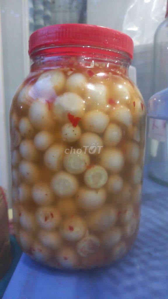 Sung ngâm chua cay hũ thủy tinh. Mua bán Đồ ăn, thực phẩm và các loại khác tại Quận 8 Tp Hồ Chí Minh được đăng bởi Nm hình 1