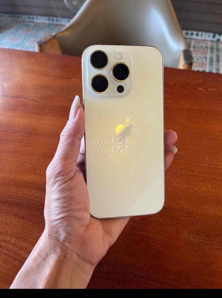 Apple iPhone 16 Pro 256GB Vàng Chấm mực. Mua bán Điện thoại tại Quận 5 Tp Hồ Chí Minh được đăng bởi NGUYEN VAN TY hình 1