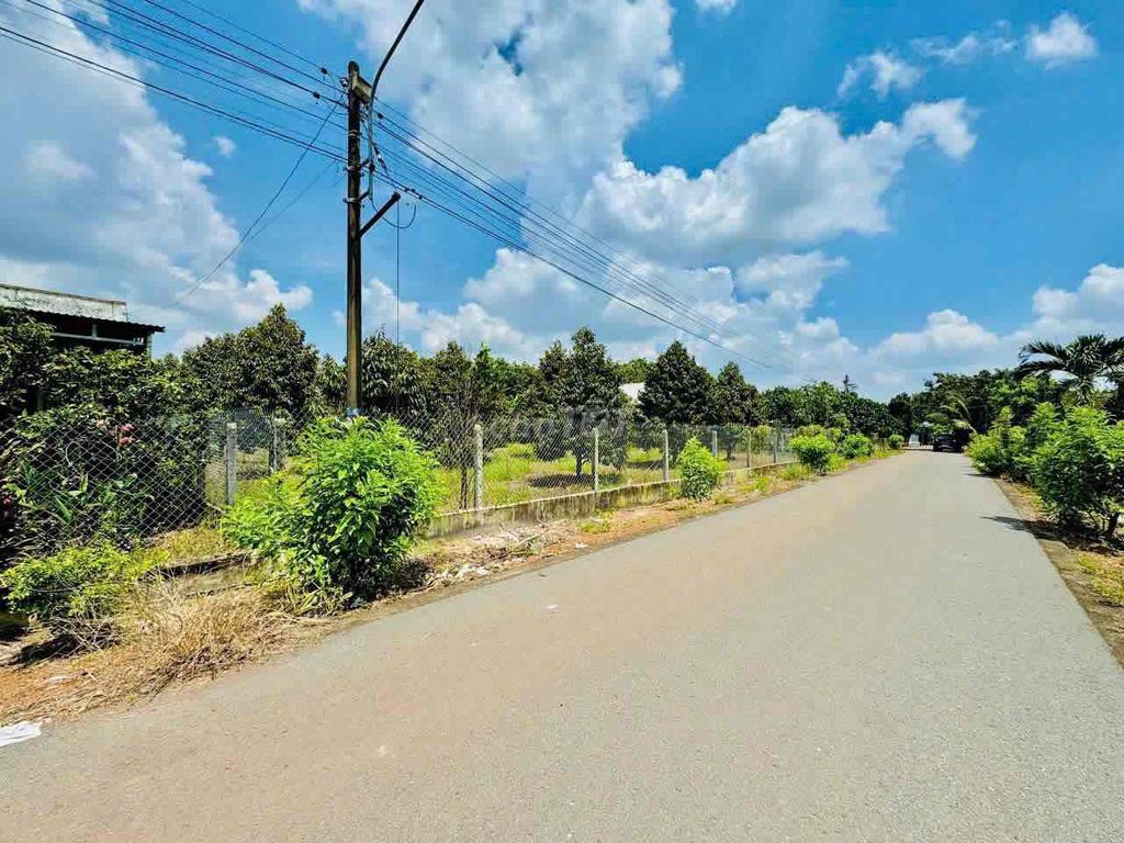 Chính Chủ Cần Bán Lô đất 1000m2 sẵn Vườn Sầu Riêng 135triệu cạnh KCN. Mua bán đất tại Huyện Đồng Phú Bình Phước được đăng bởi Viên hình 2