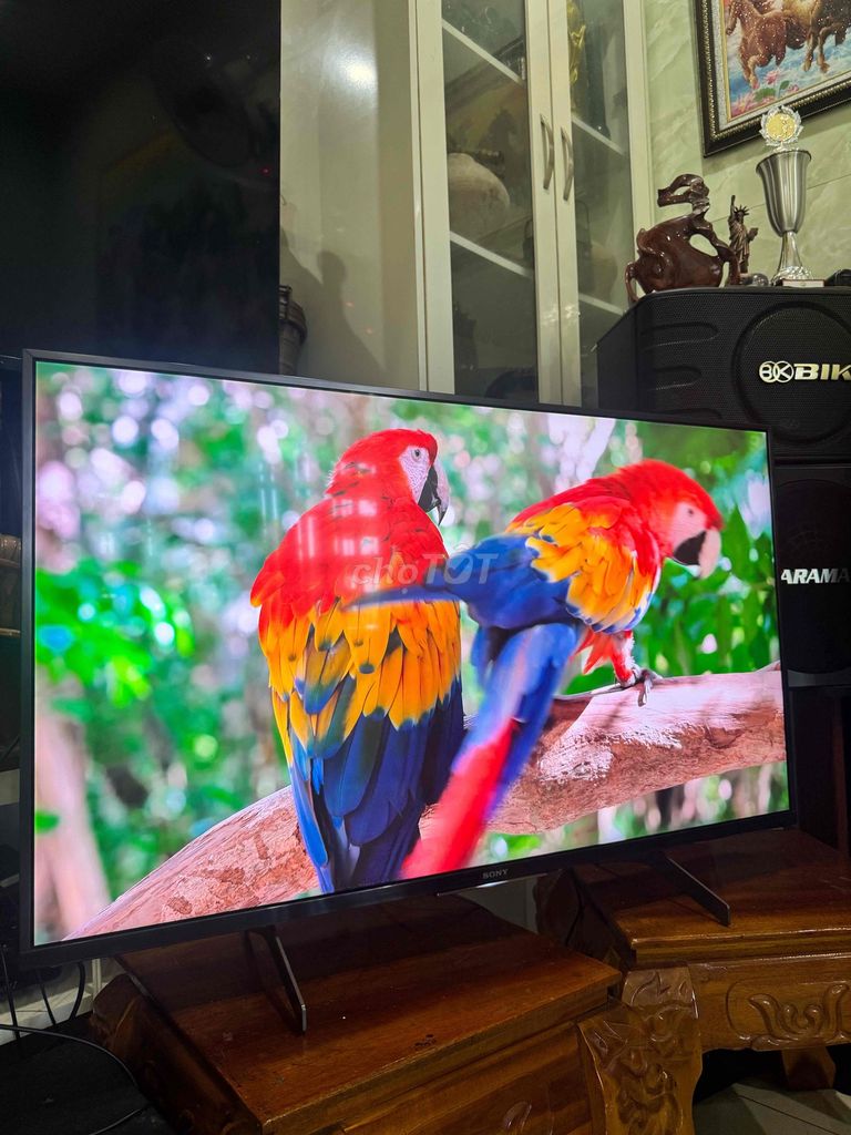 Tivi Sony 43 inch đã sử dụng. Mua bán Tivi, Âm thanh tại Thành phố Vũng Tàu Bà Rịa - Vũng Tàu được đăng bởi Đồ Điện Tử Gia Đình Vũng Tàu hình 1