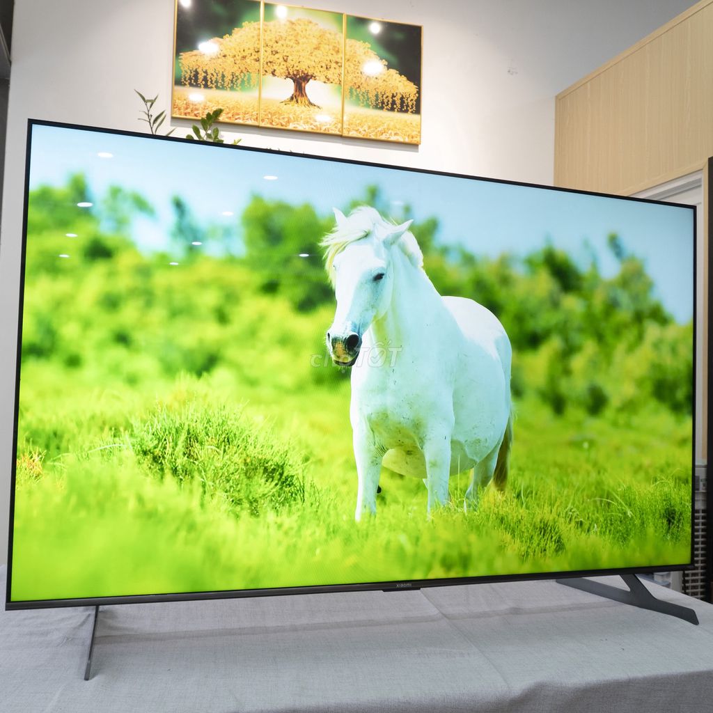 Tivi Xiaomi S Pro 65 inch. Mua bán Tivi, Âm thanh tại Quận Phú Nhuận Tp Hồ Chí Minh được đăng bởi Châu Đỗ Khánh Hùng hình 1