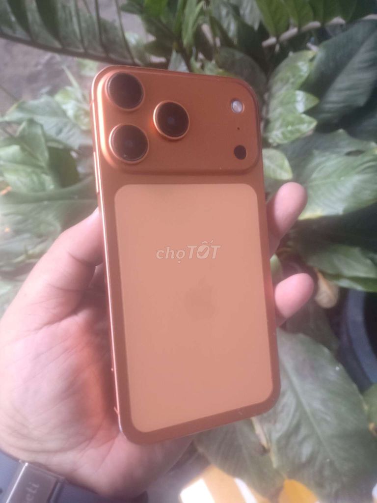iPhone XR 128GB lệnh 17pr  Cam Đã sử dụng. Mua bán Điện thoại tại Quận Ninh Kiều Cần Thơ được đăng bởi Lan Ng hình 1