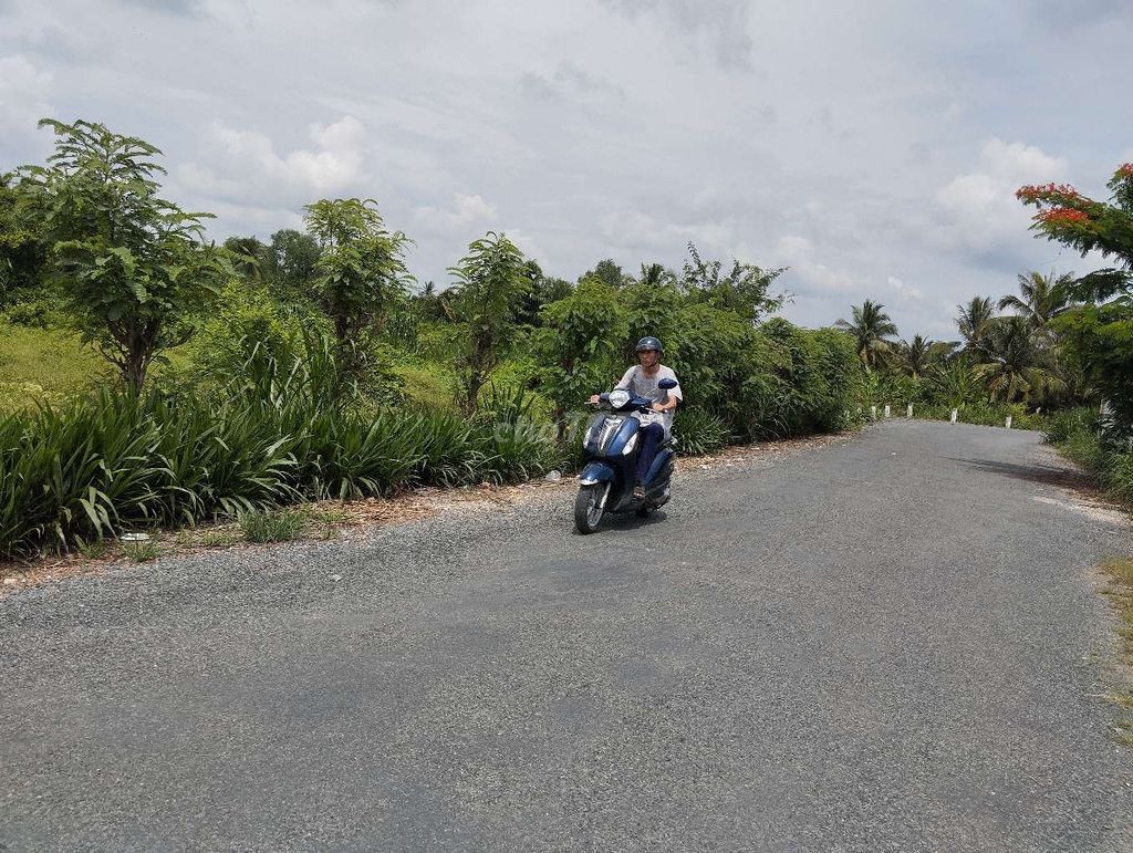 BÁN ĐẤT Ở+VƯỜN xã Phú Túc -Châu Thành Bến Tre