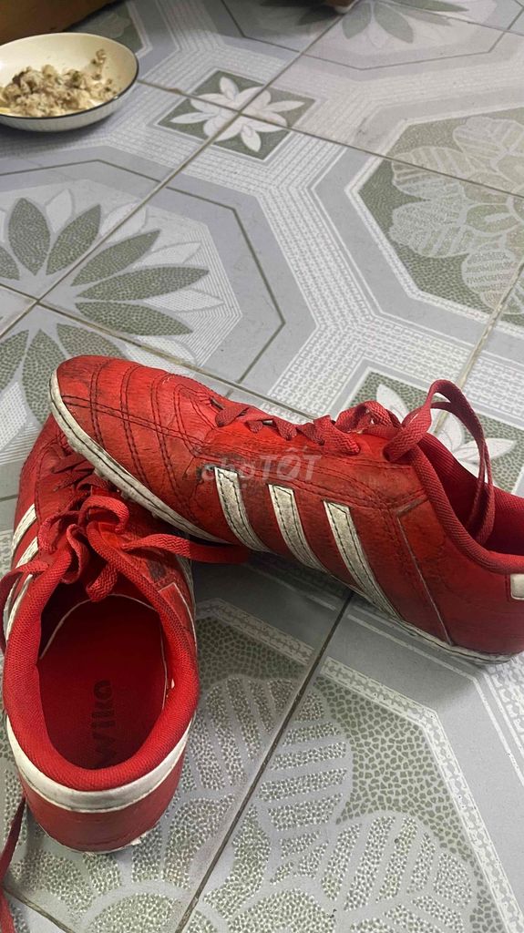 Giày đá bóng Nam Đỏ size 42. Mua bán Đồ thể thao, Dã ngoại tại Quận Ngô Quyền Hải Phòng được đăng bởi Trần nhật anh hình 1