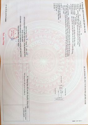 Cần bán nhà C4 Nguyễn Tri Phương