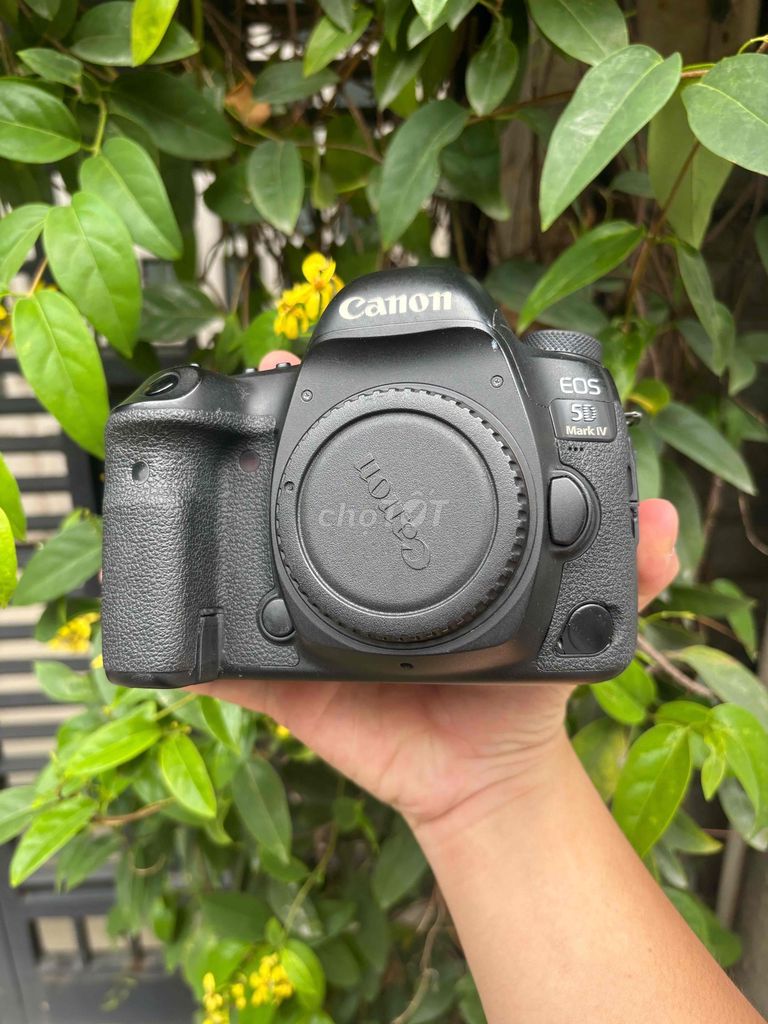 Máy ảnh Canon EOS 5D Mark IV Đen. Mua bán Máy ảnh, Máy quay tại Quận Phú Nhuận Tp Hồ Chí Minh được đăng bởi Lam Vy  hình 1