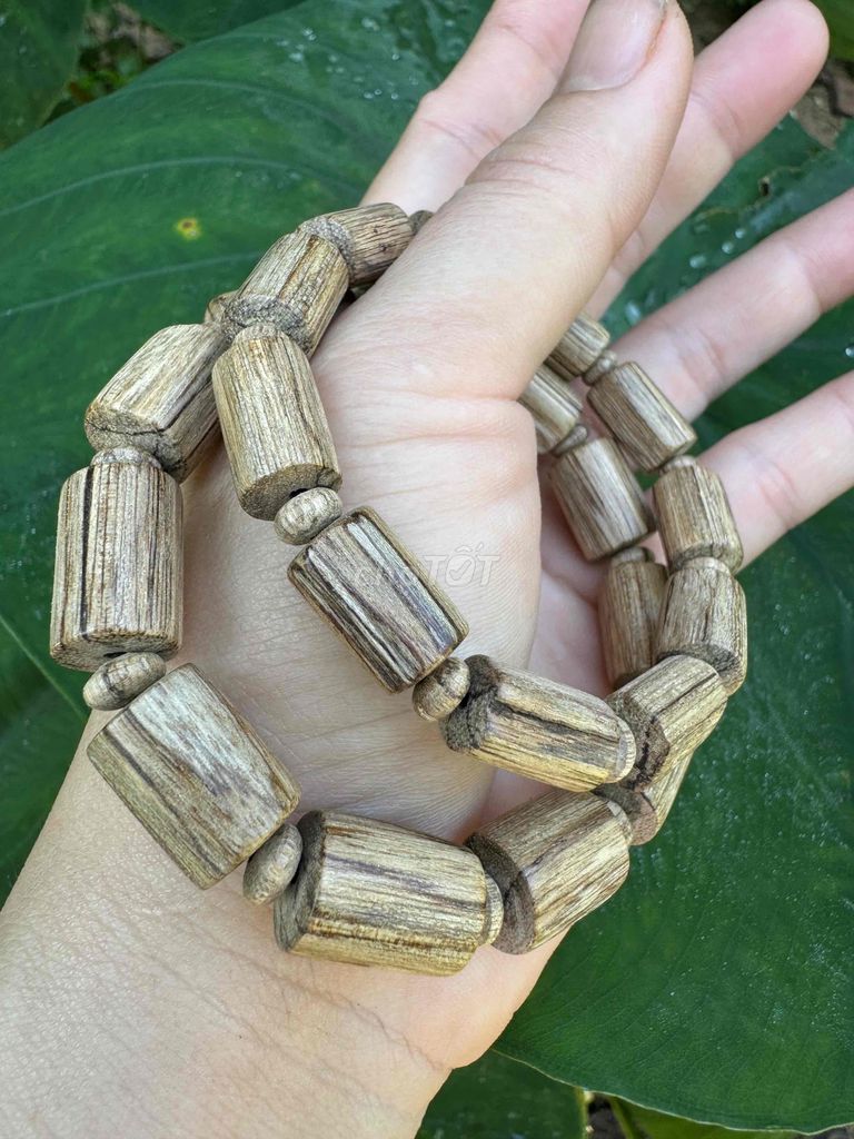 kiến tiên phước. Mua bán Phụ kiện thời trang khác tại Quận Đồ Sơn Hải Phòng được đăng bởi thuỳ dương trầm hương  hình 1