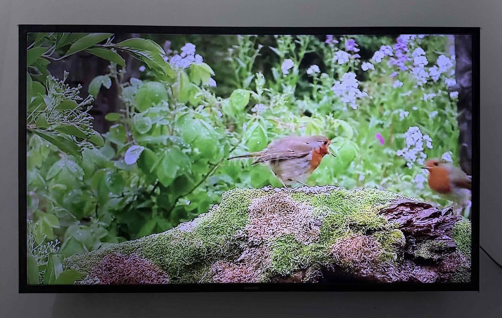 Dư chiếc tivi samsung 32 inch. Mua bán Tivi, Âm thanh tại Thành phố Bà Rịa Bà Rịa - Vũng Tàu được đăng bởi Văn Tân  hình 1
