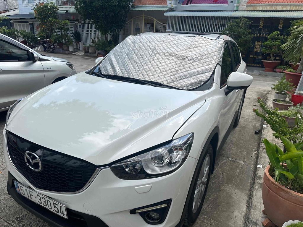Ảnh số 4