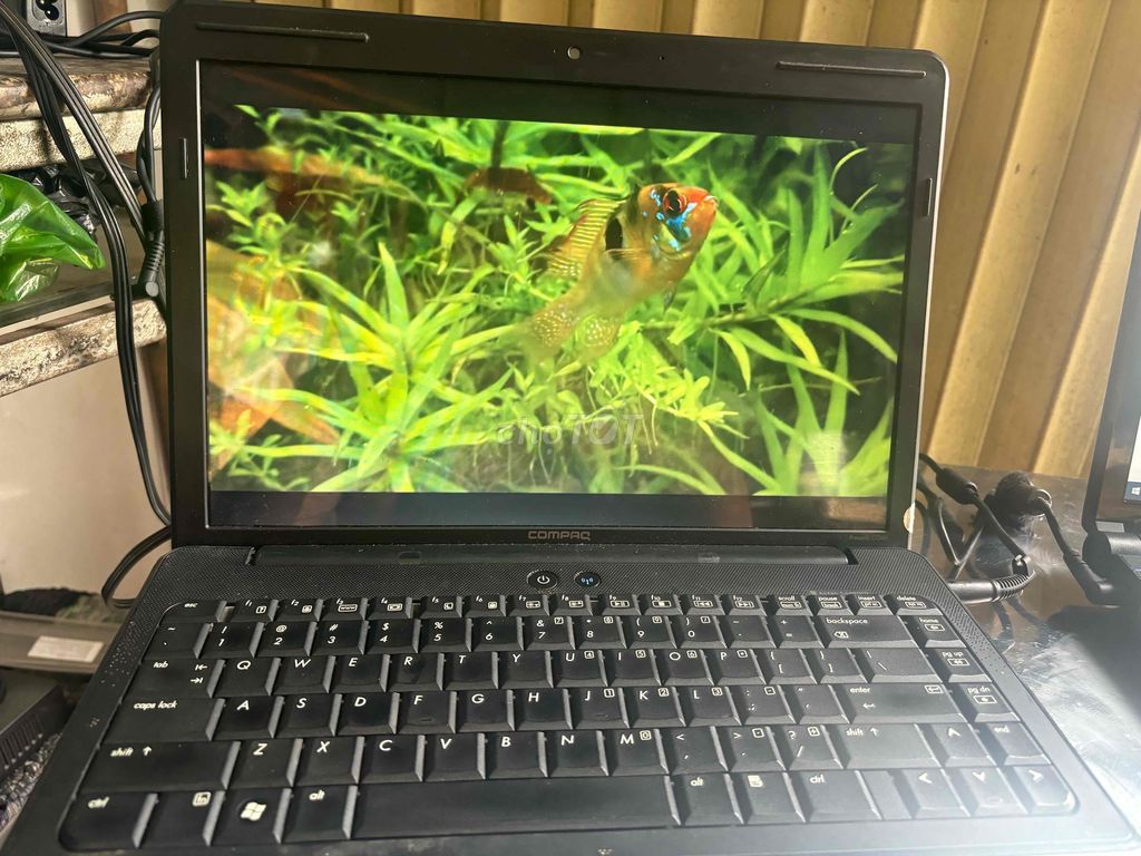 laptop HP T6400