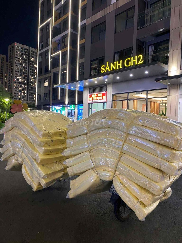 KHÁCH BÌNH DƯƠNG CẦN MUA NỆM CAO SU NON ALO SOP Ạ. Mua bán Giường, chăn ga gối nệm tại Thành phố Dĩ An Bình Dương được đăng bởi SIÊU THỊ NỆM GIÁ RẺ hình 1