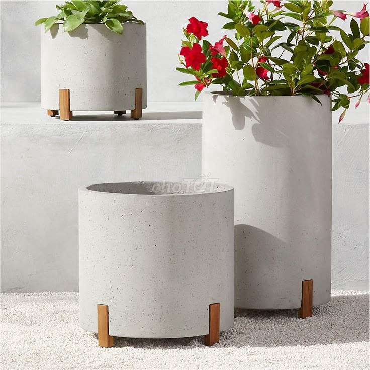 Chậu cây Mutilform Xi măng, Gỗ Xám, Nâu. Mua bán Cây cảnh, đồ trang trí tại Quận 4 Tp Hồ Chí Minh được đăng bởi Lê Tuấn hình 1