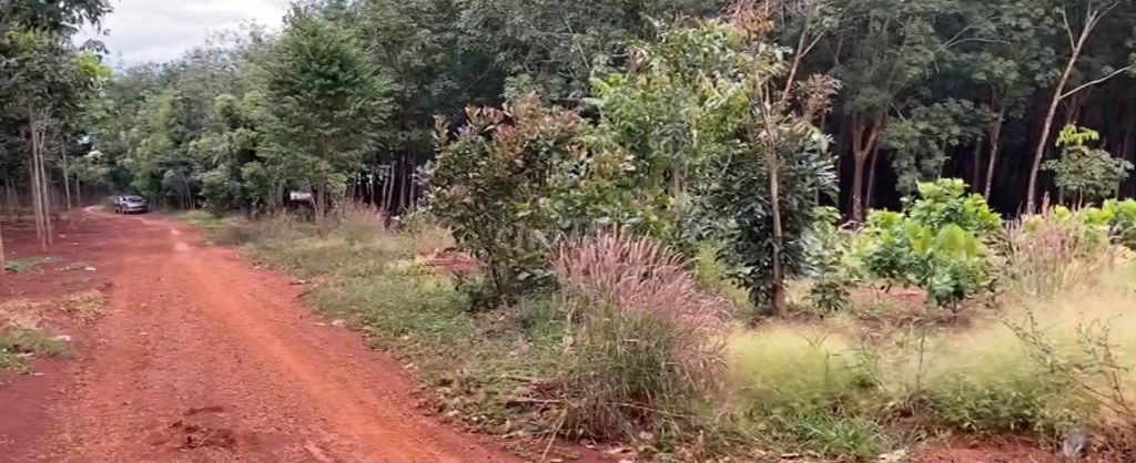 Bán 2,2 hecta đất SKC-KCN Long Tân 200m mặt tiền - Phú Riềng Đồng Nai