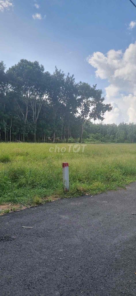 Chủ Ngộp Bán Đất Gấp🔥