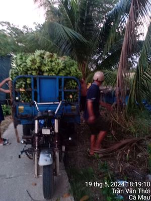 Bán xe 3 gác đang sử dụng. Mua bán Phương tiện khác tại Huyện Trần Văn Thời Cà Mau được đăng bởi Van Anh Nguyen
