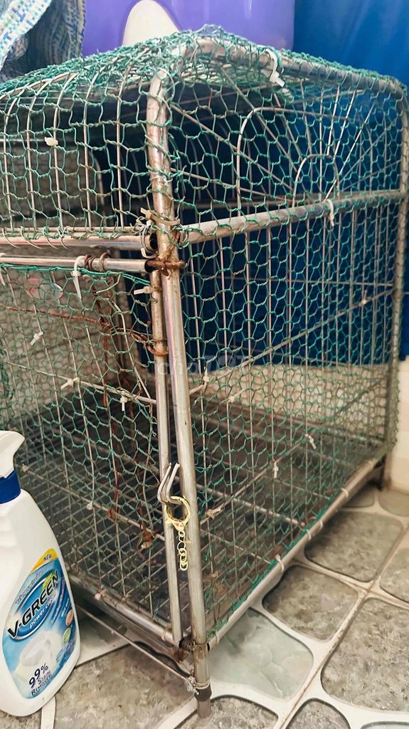 Chuồng mèo căng lưới kín. Mua bán Phụ kiện, Thức ăn, Dịch vụ tại Quận Hồng Bàng Hải Phòng được đăng bởi SHEN hình 1