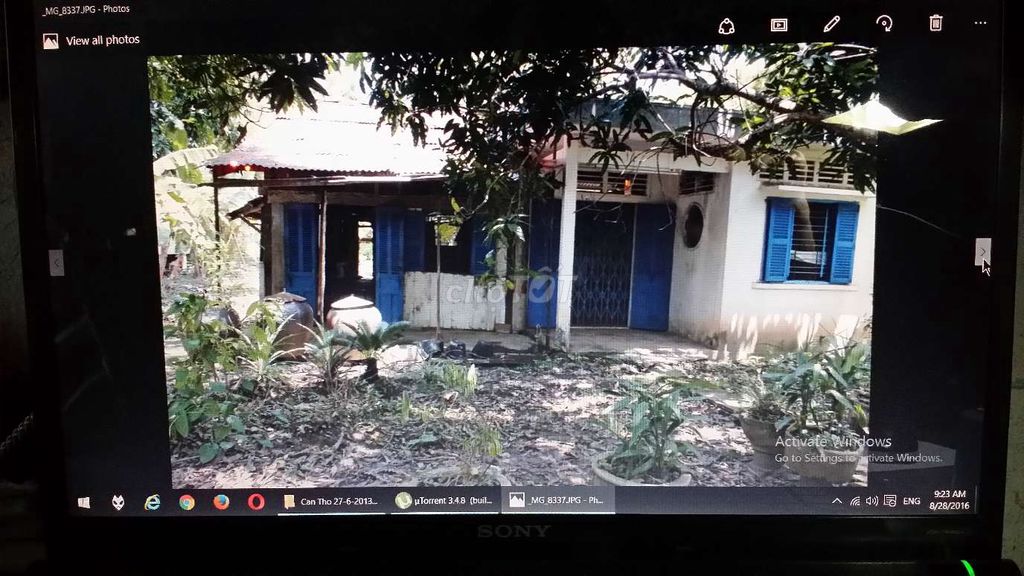 Cần bán 3317 m2 đất ( 100m2 thổ cư) sổ đỏ Q.Bình Thủy, Cần Thơ. Mua bán đất tại Quận Bình Thuỷ Cần Thơ được đăng bởi SỬ HÙNG MINH hình 1