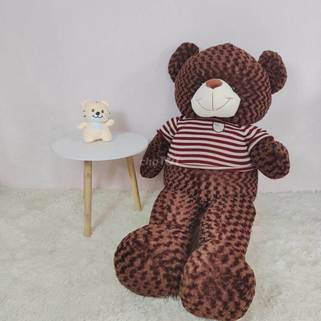 Gấu bông Teddy 1m8 - Không sử dụng nên bán