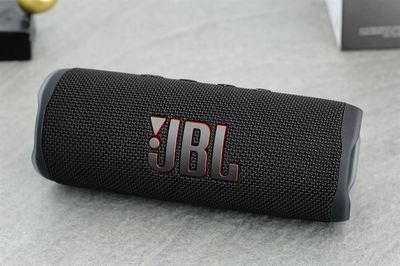 Loa bluetooth Jbl Flip6 chính hãng Pgi