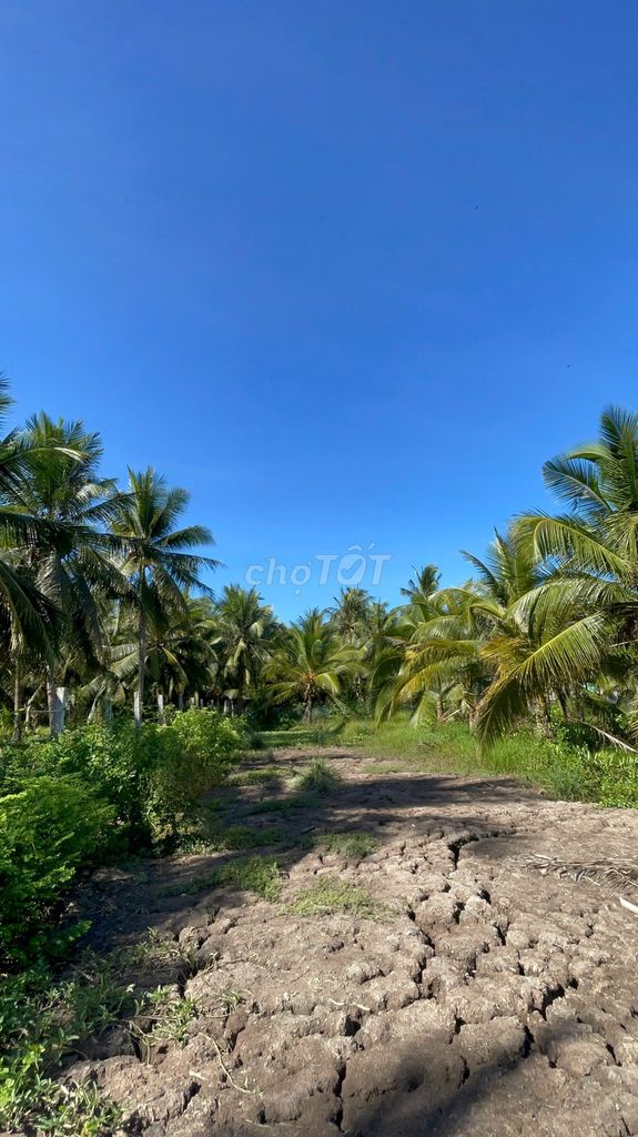 ĐẤT GẦN BẾN PHÀ - KHU DÂN CƯ CHỢ ĐÔNG - SẴN THỔ CƯ 🌿🍃🎋