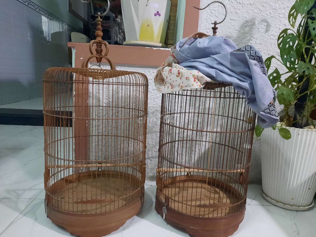 Thanh lý giá rẻ 2 lồng chim chòe đất 30*40cm. Mua bán Phụ kiện, Thức ăn, Dịch vụ tại Huyện Hóc Môn Tp Hồ Chí Minh được đăng bởi Yuki hình 1