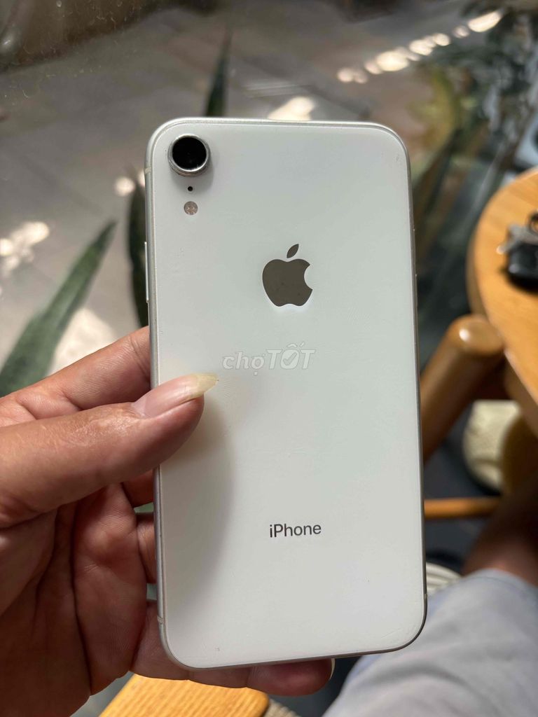 Apple iPhone XR 64GB Trắng. Mua bán Điện thoại tại Thành phố Biên Hòa Đồng Nai được đăng bởi nghia hình 1