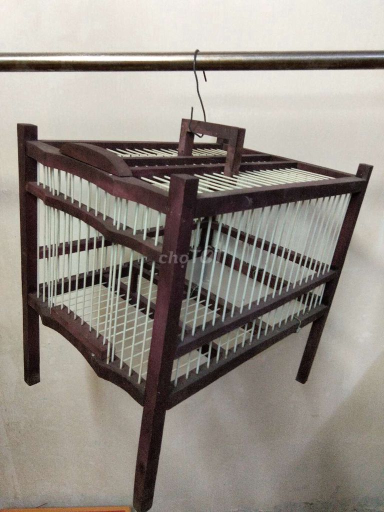 Lồng Tắm Gỗ Nan Cáp Mào Mi Chòe . Mua bán Phụ kiện, Thức ăn, Dịch vụ tại Quận 11 Tp Hồ Chí Minh được đăng bởi a cường  hình 1