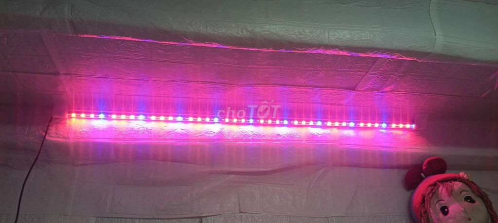Cần bán đèn led hồ cá. Mua bán Phụ kiện, Thức ăn, Dịch vụ tại Thị xã Tân Uyên Bình Dương được đăng bởi Đức hình 1