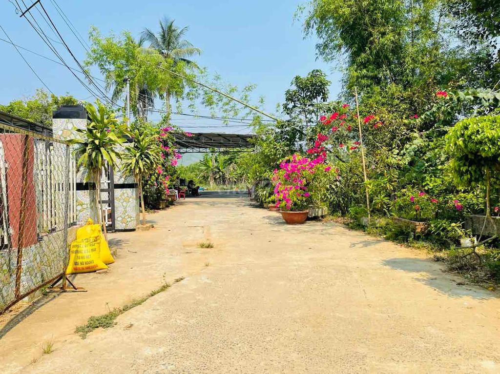 Chính chủ muốn bán nhanh nhà vườn rộng rãi  đẹp giá tốt tại Hoà Sơn