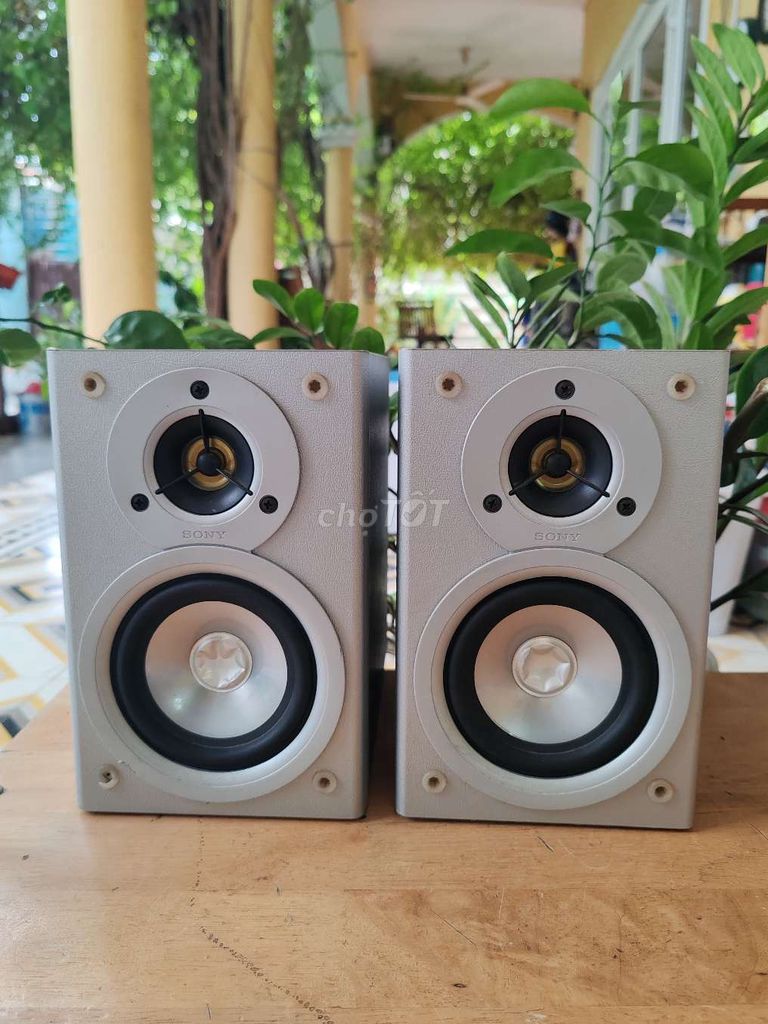 Loa sub Sony SS-CM100 Bạc Gỗ Nhật Bản. Mua bán Tivi, Âm thanh tại Quận 7 Tp Hồ Chí Minh được đăng bởi Vy Vy hình 1