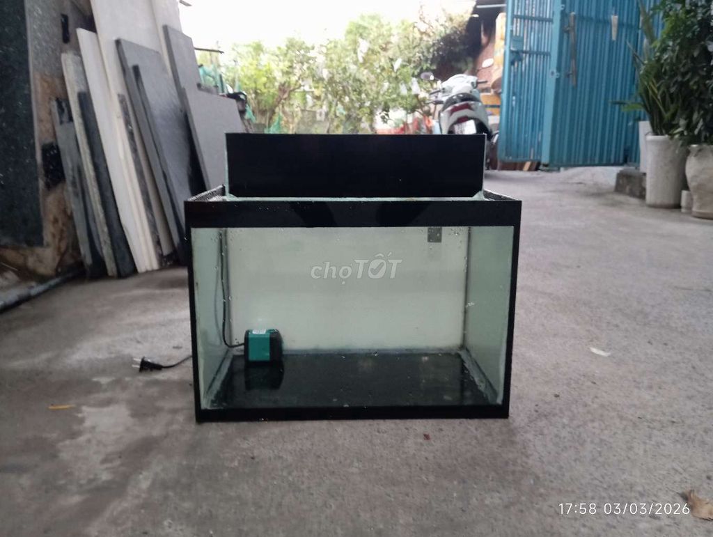 Hồ 50-30-40. Mua bán Phụ kiện, Thức ăn, Dịch vụ tại Thành phố Thủ Đức Tp Hồ Chí Minh được đăng bởi Nguyễn Trọng Tấn hình 1