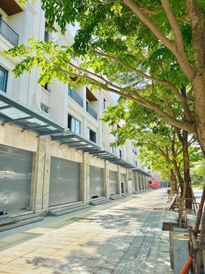 Bán Shophose The Manor Central Park 120m2, 5 tầng, full nội thất. Mua bán văn phòng, mặt bằng kinh doanh tại Quận Hoàng Mai Hà Nội được đăng bởi Trần Thanh Hải