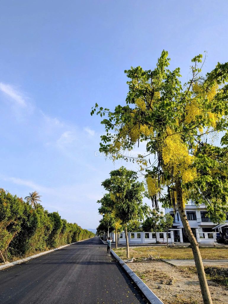 đất nền trung tâm hoài nhơn , bình định chỉ từ 1tỷ, sẵn sổ công chứng đất nền trung tâm hoài nhơn , bình định chỉ từ 1tỷ, sẵn sổ công chứng