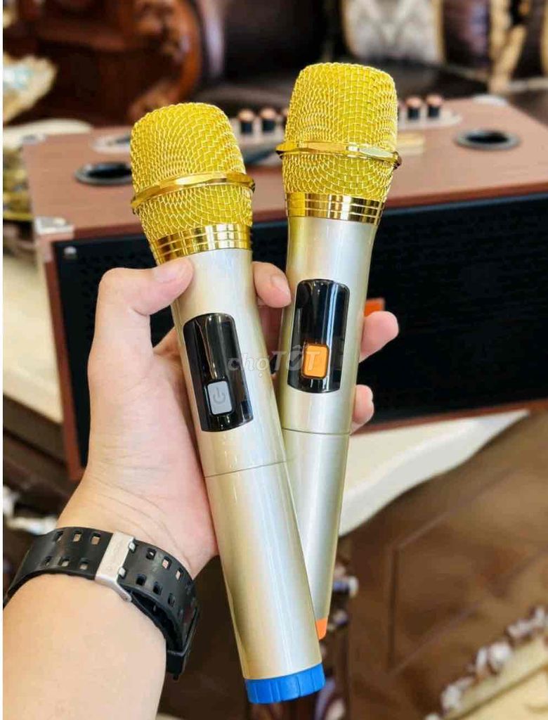 Loa karaoke xách tay MTMax B62 Pro, 2 bas 16cm