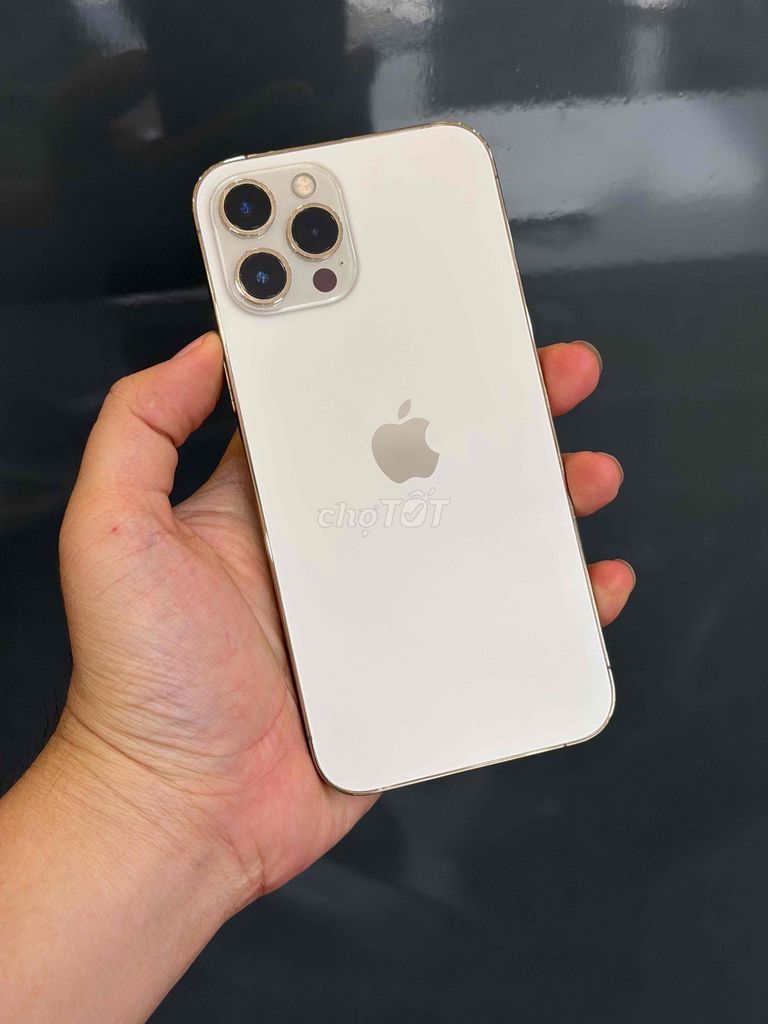 iPhone 12 Pro Max Vàng 512GB VN Pin new 100 929282. Mua bán Điện thoại tại Quận Ninh Kiều Cần Thơ được đăng bởi Quý Mobile Cần thơ hình 1