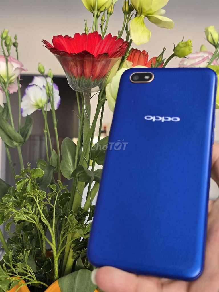 Oppo A1k 32GB Xanh. Mua bán Điện thoại tại Thành phố Sóc Trăng Sóc Trăng được đăng bởi điện thoại giá sỉ 501lê Hồng Phong  hình 1
