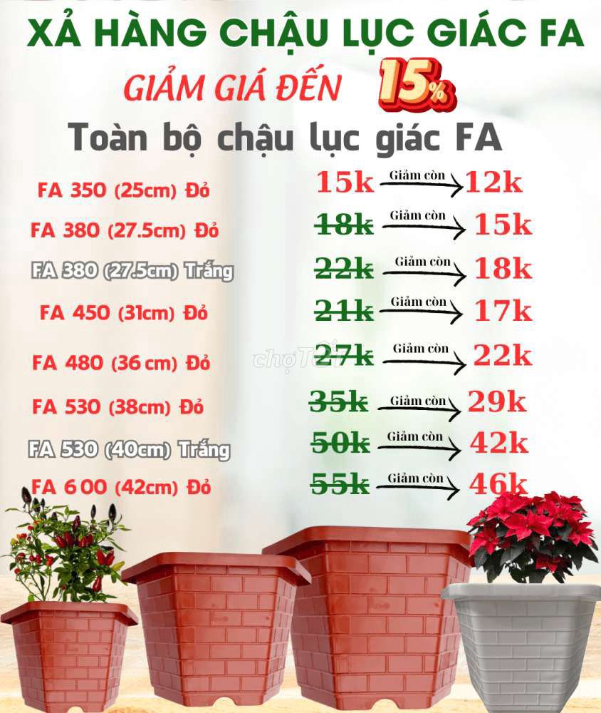 CHẬU NHỰA TRỒNG CÂY CỰC ĐẸP