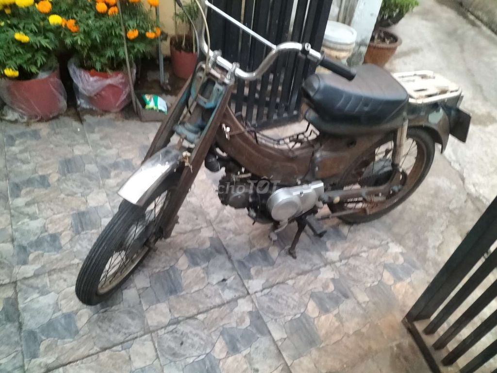 xe cổ 50cc